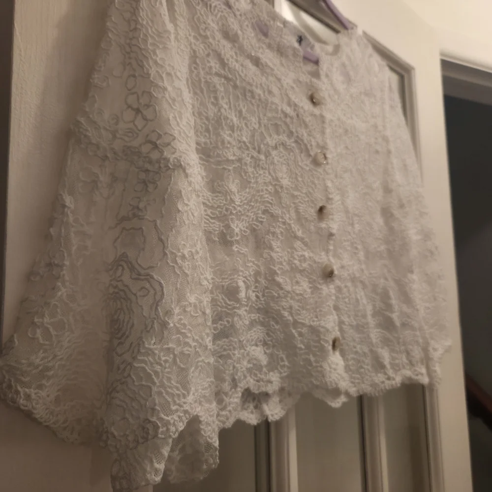 AZ Chic Lace Embroidered Button Up Long Sleeve Blouse
